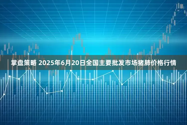 掌盘策略 2025年6月20日全国主要批发市场猪肺价格行情