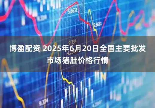 博盈配资 2025年6月20日全国主要批发市场猪肚价格行情