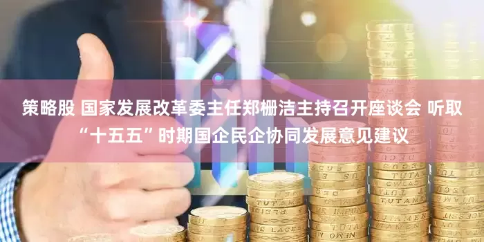 策略股 国家发展改革委主任郑栅洁主持召开座谈会 听取“十五五”时期国企民企协同发展意见建议