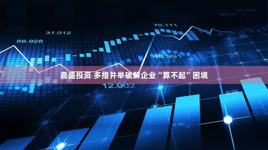 嘉盛投资 多措并举破解企业“算不起”困境