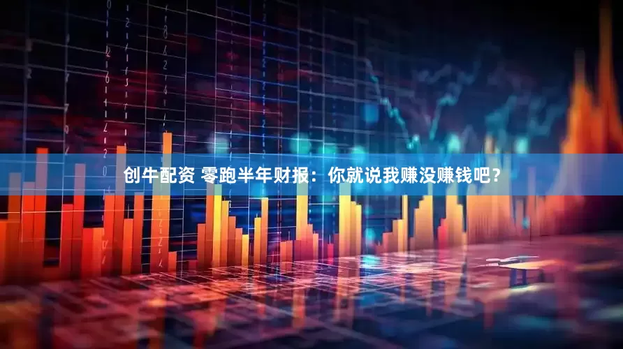创牛配资 零跑半年财报：你就说我赚没赚钱吧？