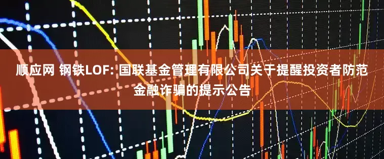 顺应网 钢铁LOF: 国联基金管理有限公司关于提醒投资者防范金融诈骗的提示公告